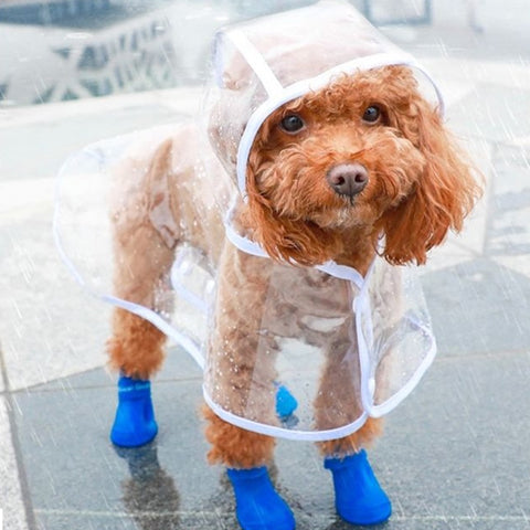 Pet Rain Coat for Small Medium