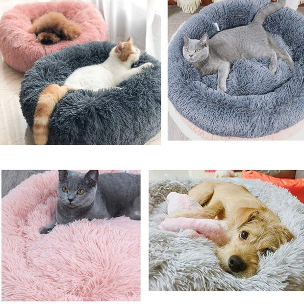 Calming Dog Bed