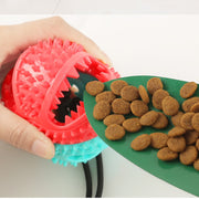 Dog Suction Toy