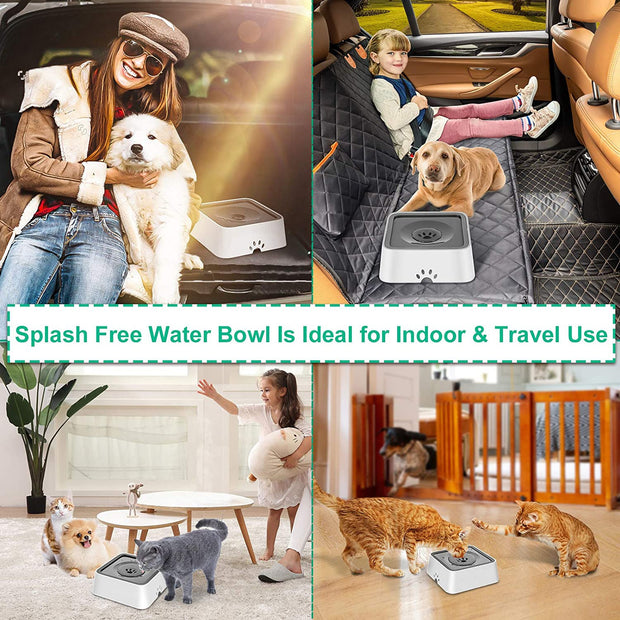 Dog Splashless Water Bowl