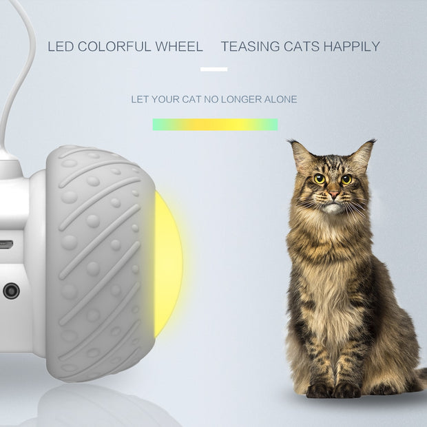 Smart Interactive Cat Toy