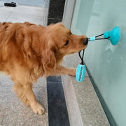 Dog Suction Toy