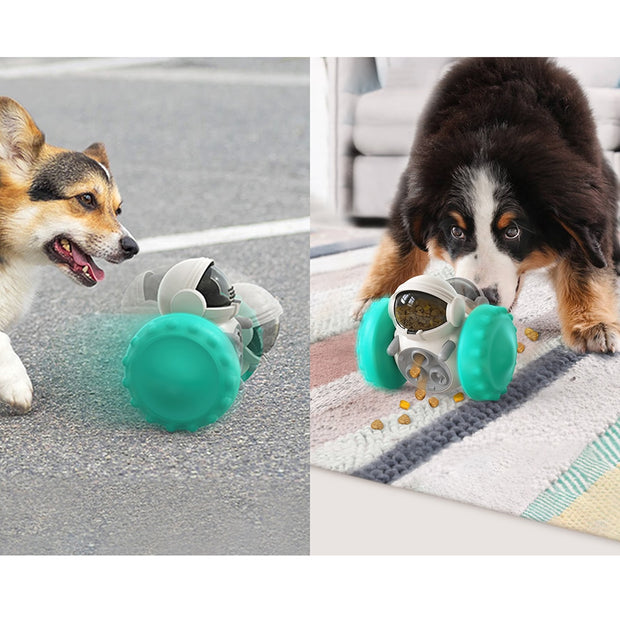 Dog Feeder Toy