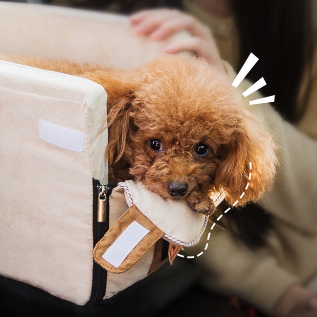 Pet Carpool Seat