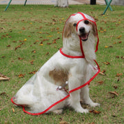 Pet Rain Coat for Small Medium