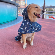 Big Dog Raincoat