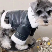 Pet Clothes Winter Autumn Warm Jacket Small Dog Wool Fashion Sweater Puppy Cool Leather Coat Chihuahua Maltese Yorkshire Poodle