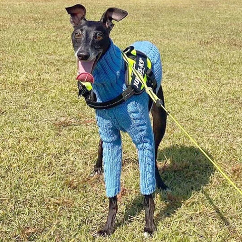 Winter Dog Sweater Italian Greyhound