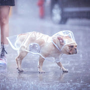 Pet Rain Coat for Small Medium