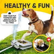 Automatic Outdoor Dog Water Fountain