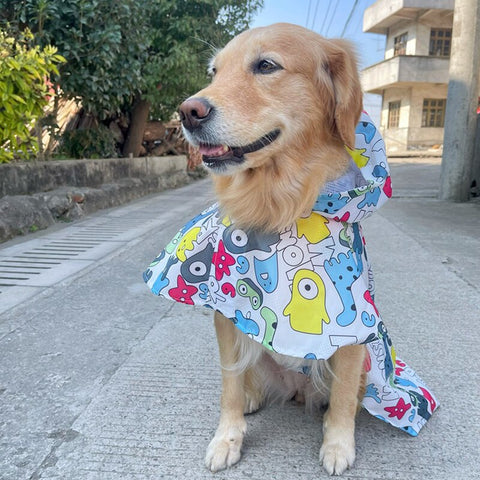 Big Dog Raincoat