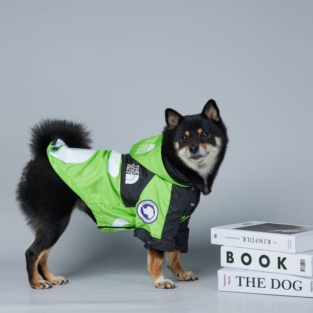 Dog Face Jacket Clothes