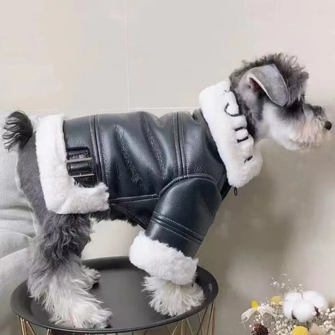 Pet Clothes Winter Autumn Warm Jacket Small Dog Wool Fashion Sweater Puppy Cool Leather Coat Chihuahua Maltese Yorkshire Poodle