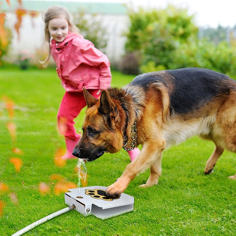 Automatic Outdoor Dog Water Fountain