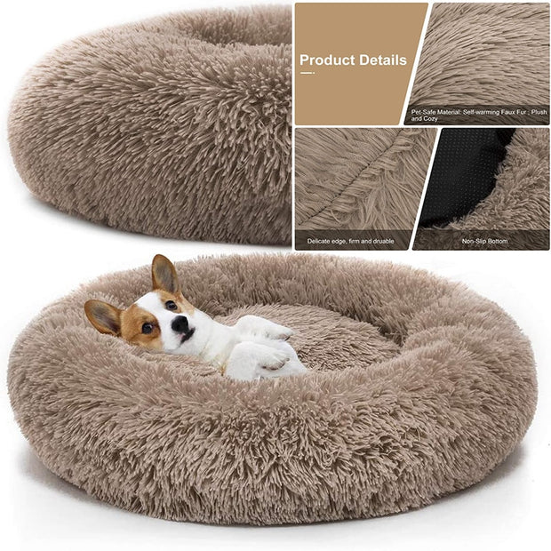 Calming Dog Bed