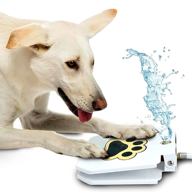 Automatic Outdoor Dog Water Fountain